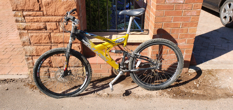 saracen raw pro